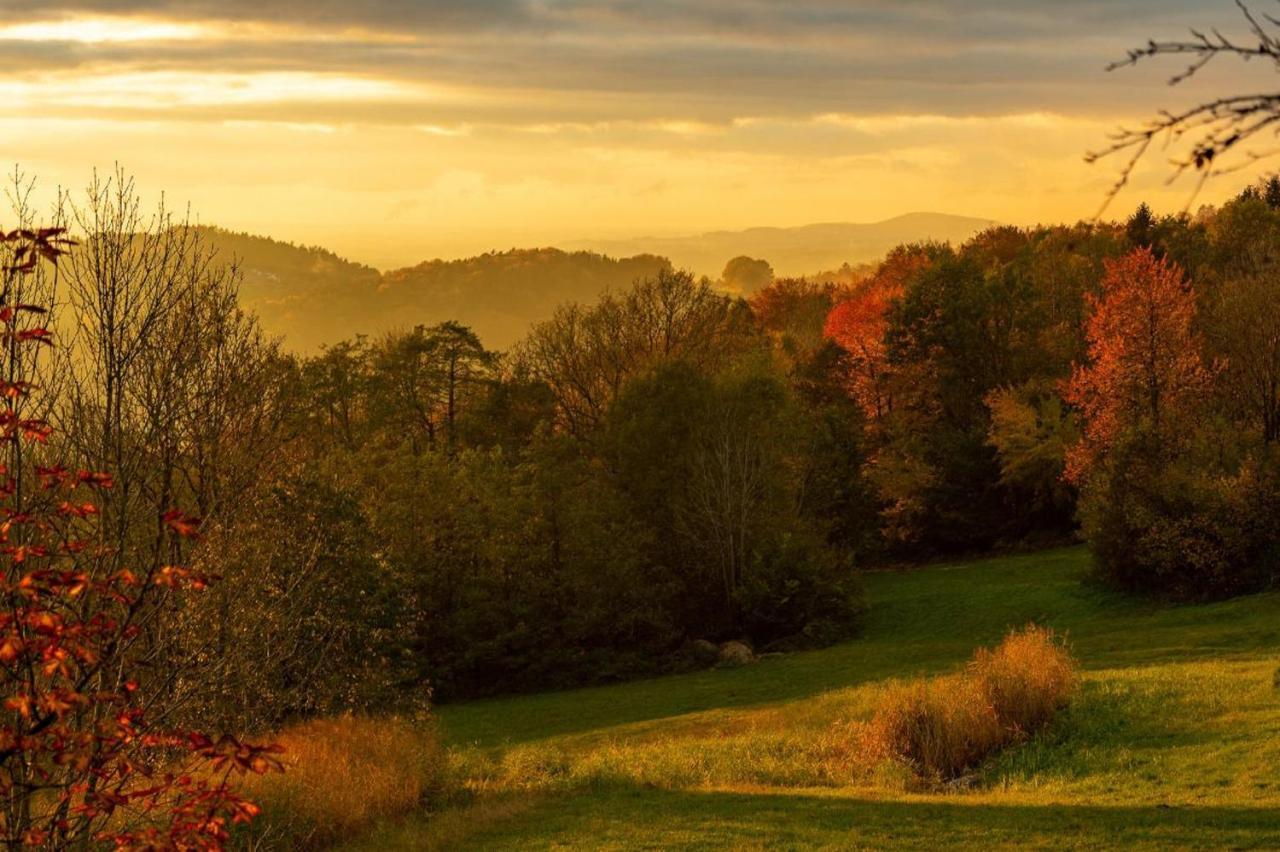 Ferienwohnungen Bauer - Auszeit Mit Ausblick Zenting Экстерьер фото