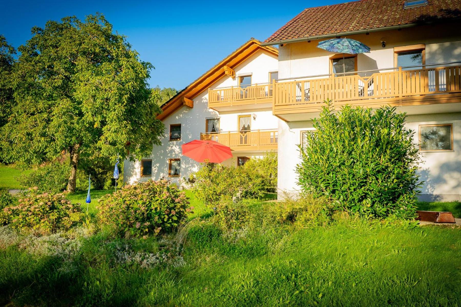 Ferienwohnungen Bauer - Auszeit Mit Ausblick Zenting Экстерьер фото